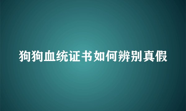 狗狗血统证书如何辨别真假