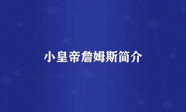 小皇帝詹姆斯简介