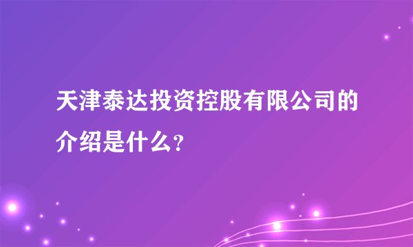 天津泰达投资控股有限公司的介绍是什么?