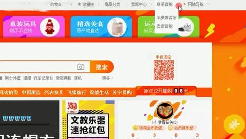 淘宝投诉 淘宝怎么投诉卖家