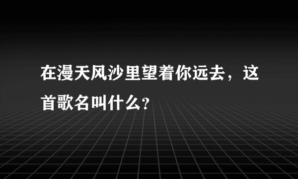 在漫天风沙里望着你远去，这首歌名叫什么？