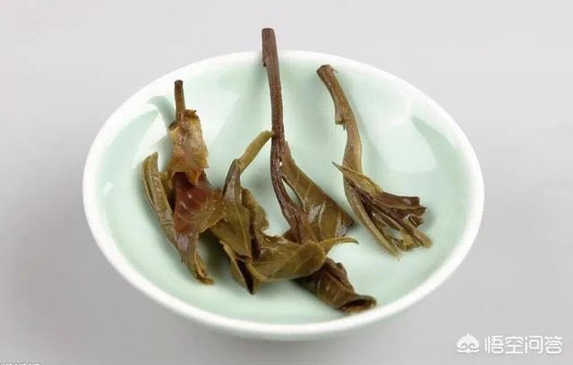 家庭养花自制花肥的办法有哪些?