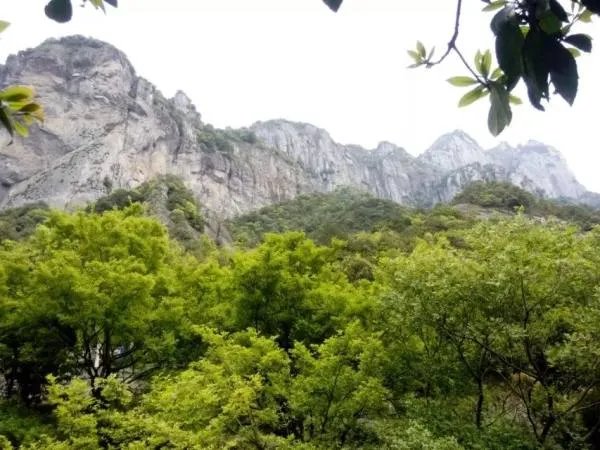 雁荡山好玩吗?