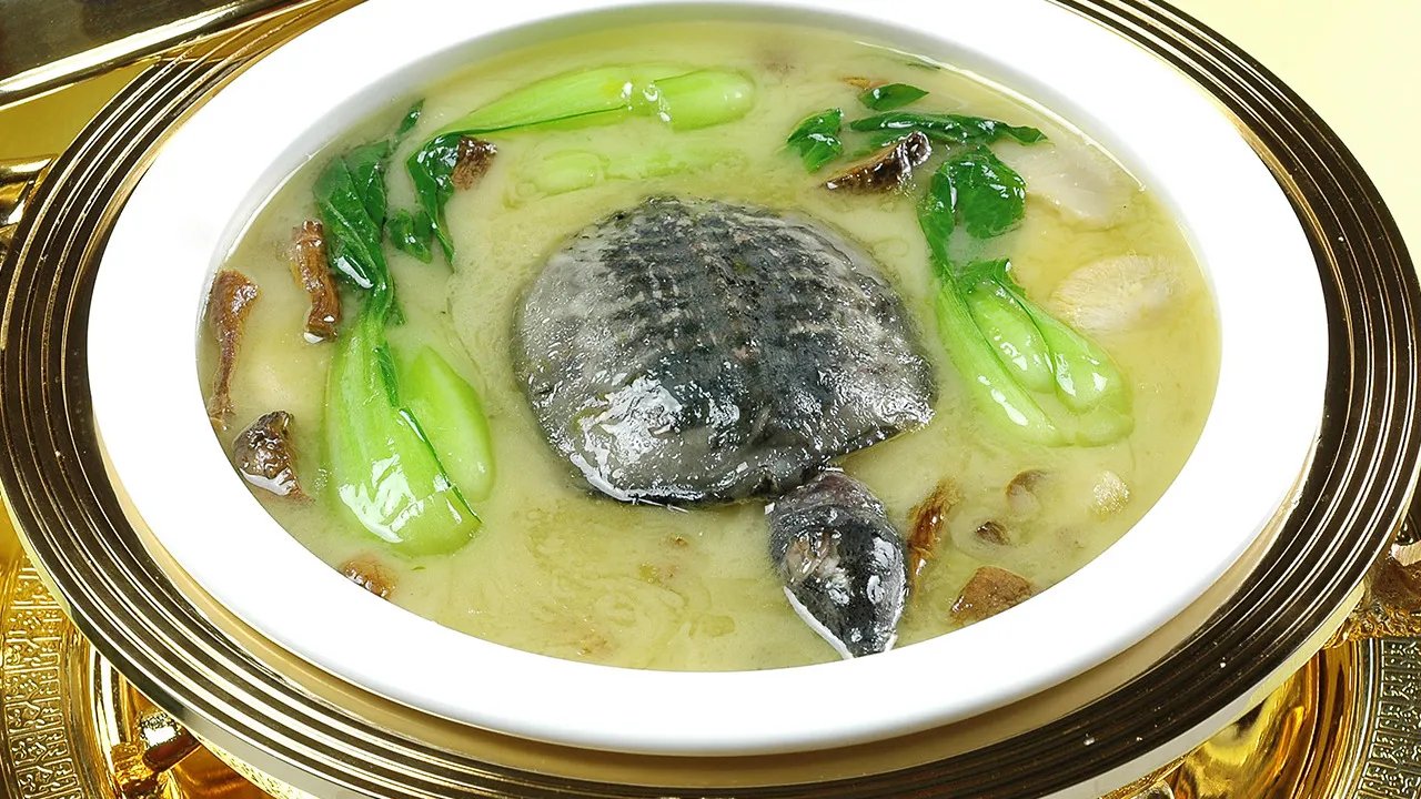 术后吃什么补品