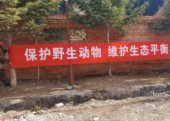 保护野生动物的宣传标语