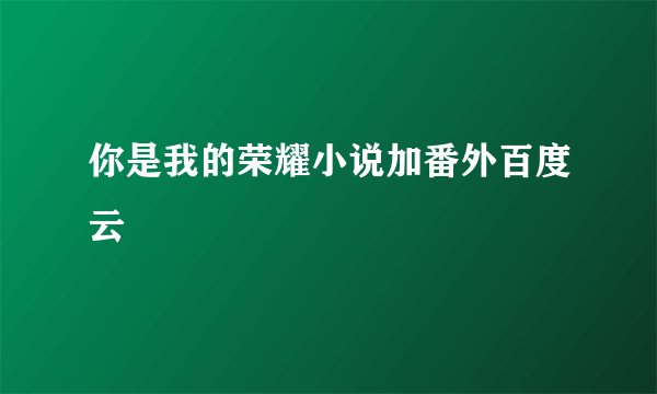 你是我的荣耀小说加番外百度云