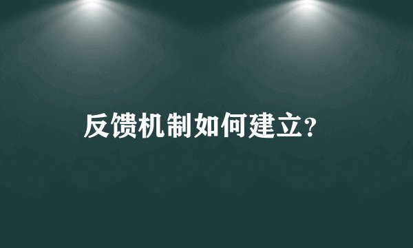 反馈机制如何建立？