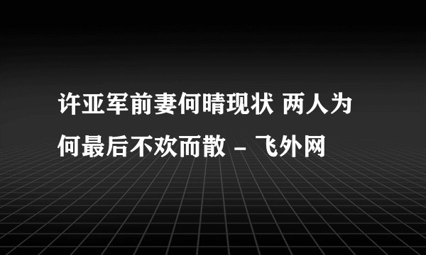 许亚军前妻何晴现状 两人为何最后不欢而散 - 飞外网