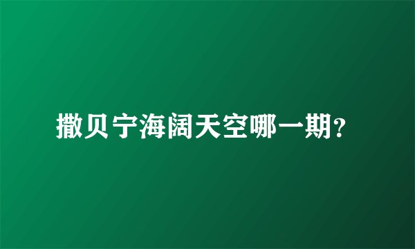 撒贝宁海阔天空哪一期？