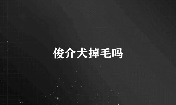 俊介犬掉毛吗