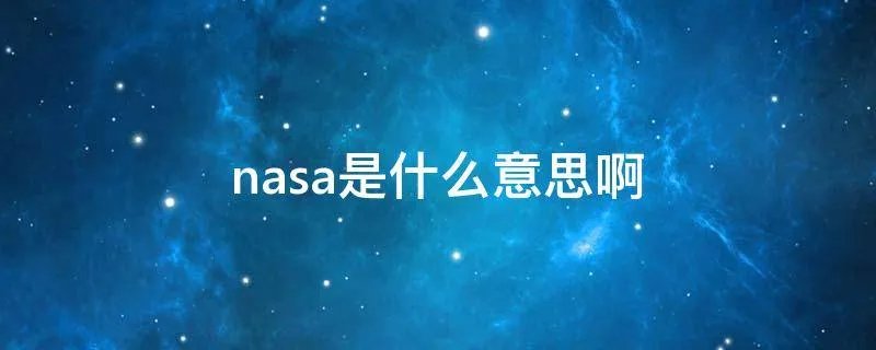 nasa是什么意思啊