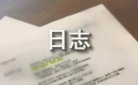 网络日志