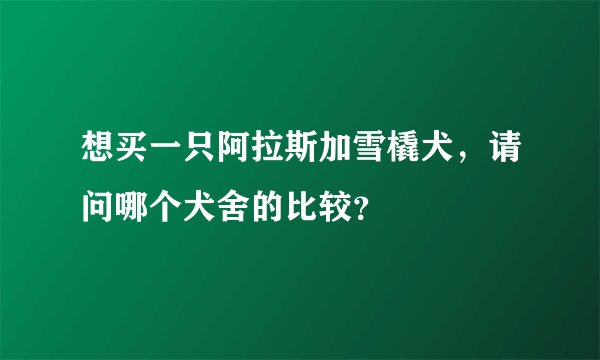 想买一只阿拉斯加雪橇犬，请问哪个犬舍的比较？