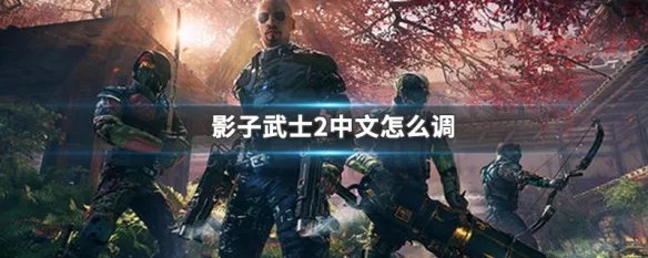 影子武士2中文怎么调