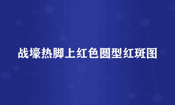 战壕热脚上红色圆型红斑图