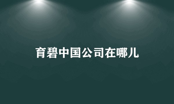 育碧中国公司在哪儿