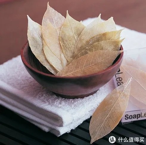 100元能买到的东西,绝对让你惊讶得合不拢嘴!