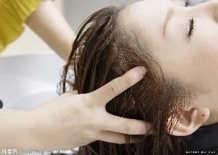 洗发水哪个好用