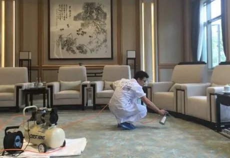 除甲醛十大品牌都是哪些?