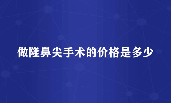 做隆鼻尖手术的价格是多少
