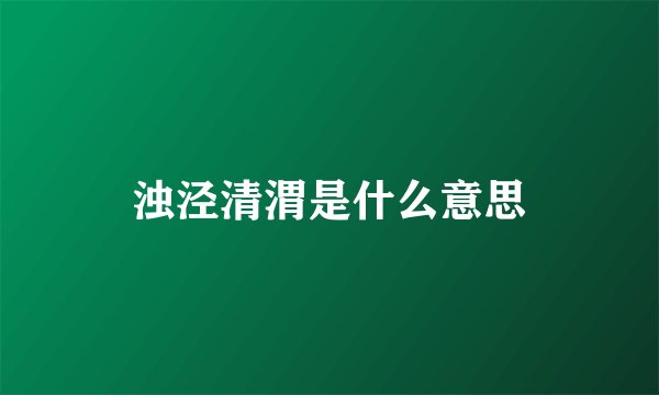 浊泾清渭是什么意思