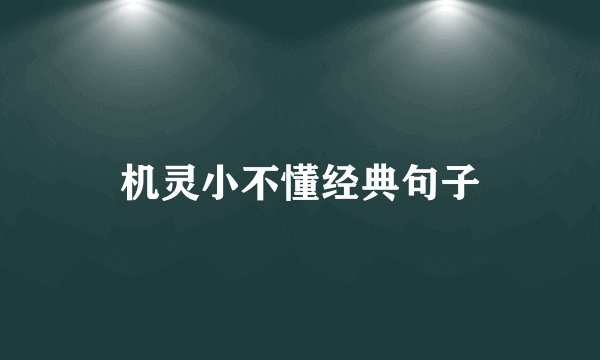 机灵小不懂经典句子