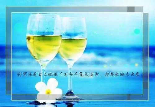 王的女人谁敢动凤九儿战倾城 王的女人谁敢动完结篇阅读