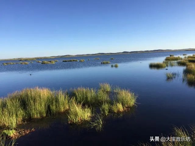 中国有哪些乐队是三个人的组合？
