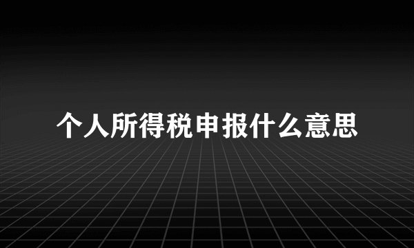 个人所得税申报什么意思
