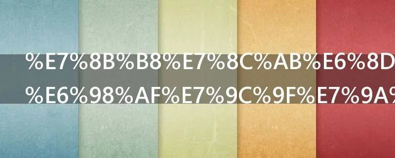 狸猫换太子是真的吗