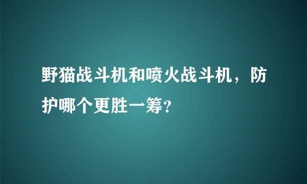 野猫战斗机和喷火战斗机，防护哪个更胜一筹？