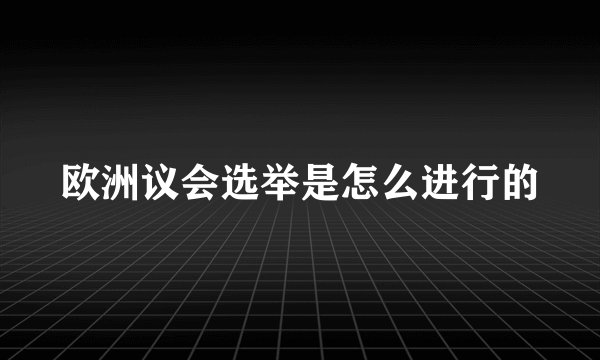 欧洲议会选举是怎么进行的