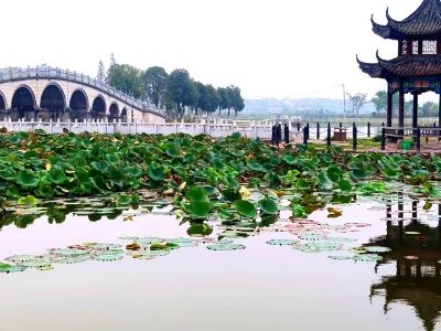 仙桃有什么好玩的地方和景点