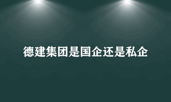 德建集团是国企还是私企