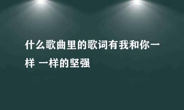 什么歌曲里的歌词有我和你一样 一样的坚强