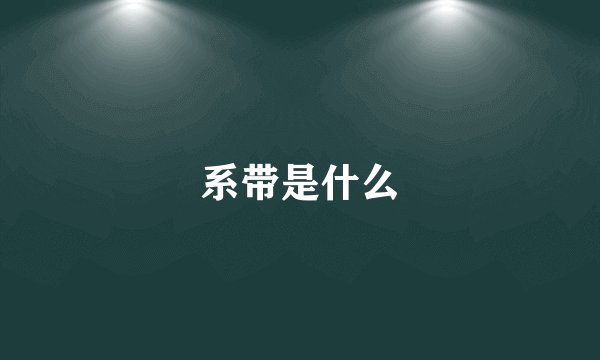 系带是什么