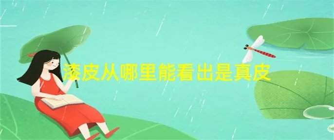 漆皮从哪里能看出是真皮