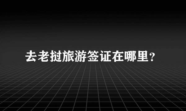 去老挝旅游签证在哪里？