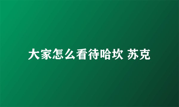 大家怎么看待哈坎 苏克