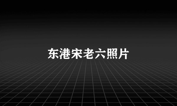 东港宋老六照片