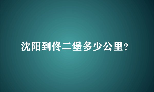 沈阳到佟二堡多少公里？