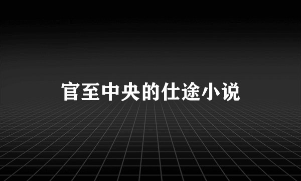官至中央的仕途小说