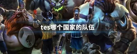 tes哪个国家的队伍