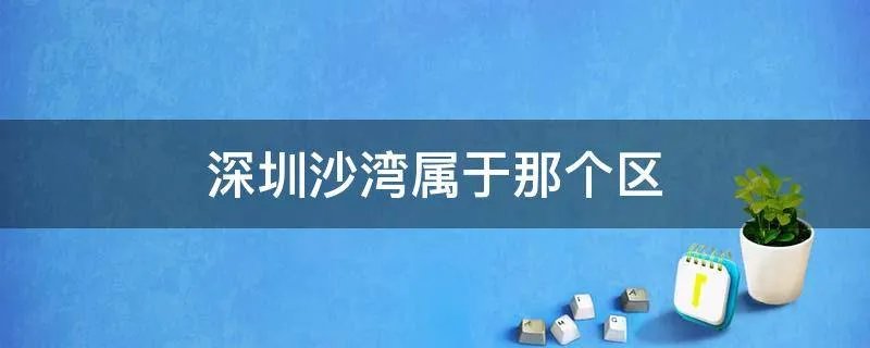 深圳沙湾属于那个区