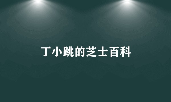 丁小跳的芝士百科