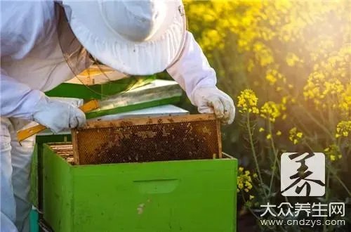 油菜花蜂蜜多少钱一斤