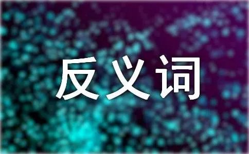 黯淡的反义词