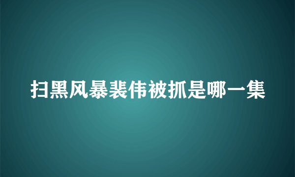 扫黑风暴裴伟被抓是哪一集