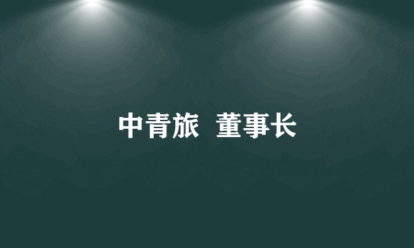 中青旅  董事长