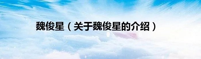 魏俊星（关于魏俊星的介绍）